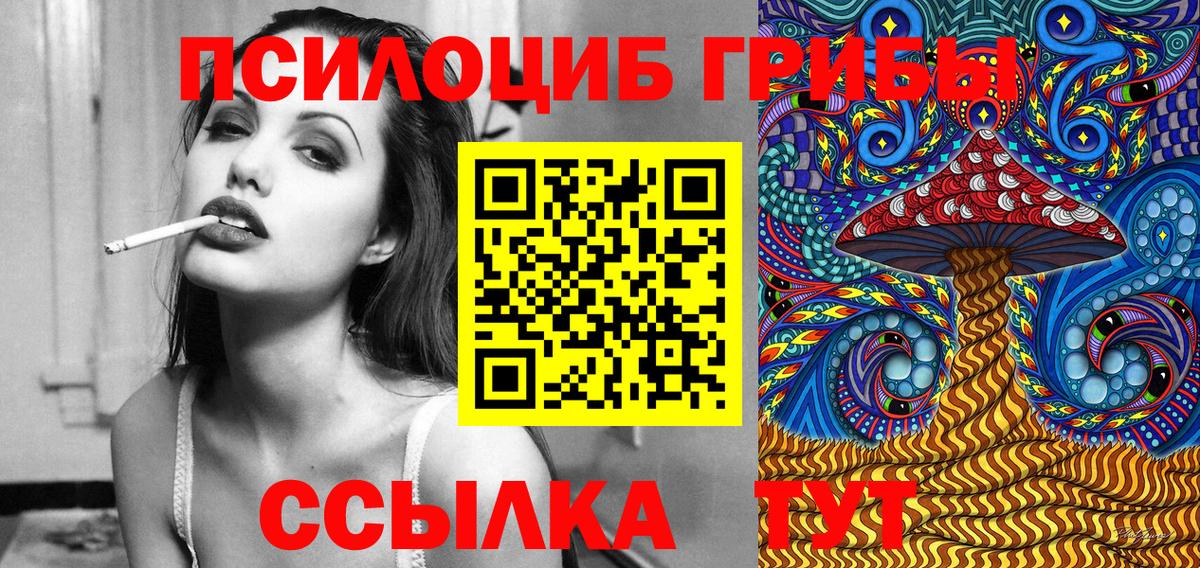 Псилоцибиновые грибы Psilocybe  Вход с VPN  Псилоцибиновые грибы Psilocybine cubensis  Отрадный 