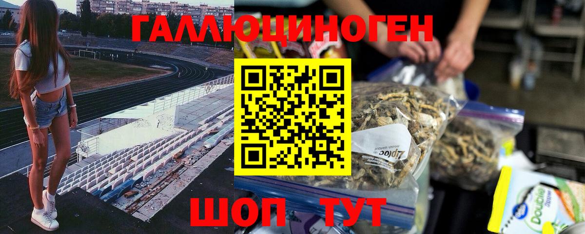 Псилоцибиновые грибы Psilocybine cubensis Отрадный